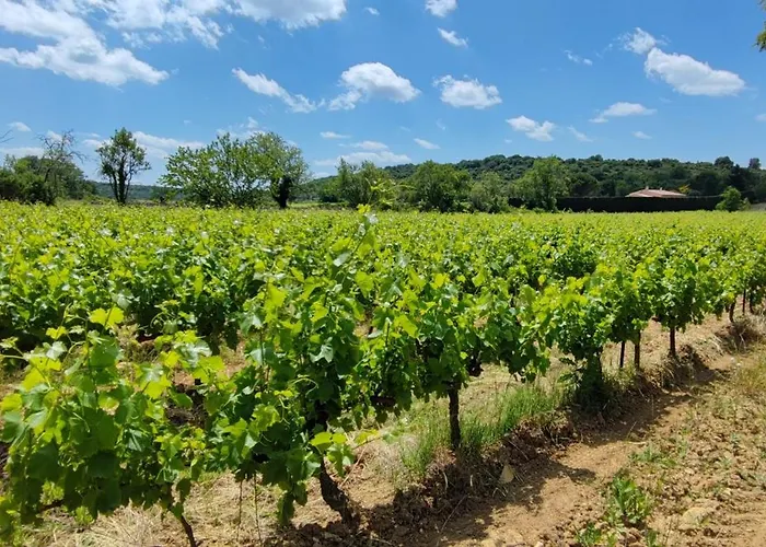 Carrefour De L'ardeche *