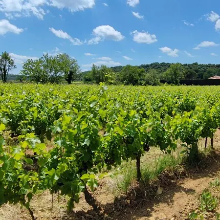 Carrefour De L'ardeche *